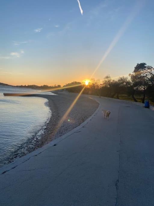 Appartamento Prostorný domov v nejkrásnější části Chorvatska Vodice Esterno foto